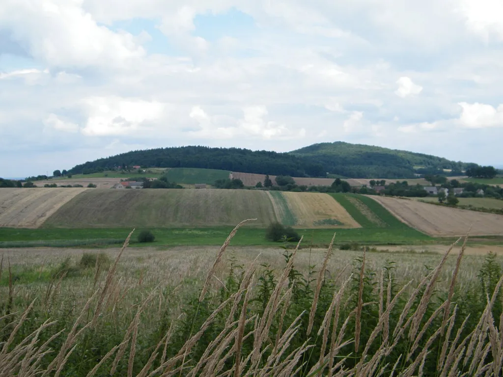 Burgruine Rummelsberg