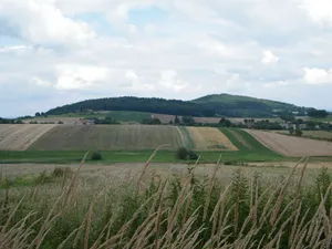 Burgruine Rummelsberg