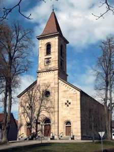 4 Linden, 1 Ulme bei der Kirche