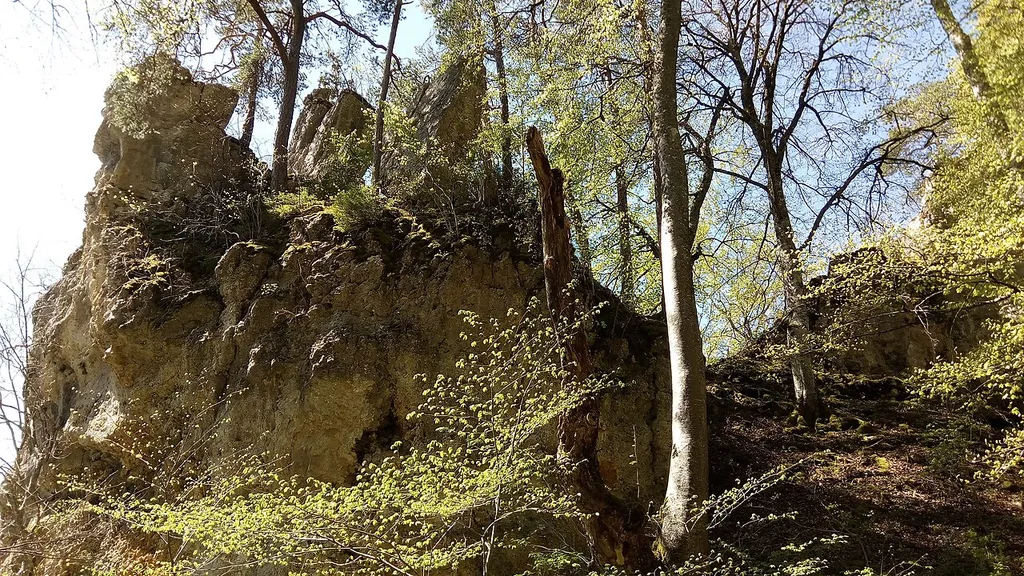 Burgfels in Kolbingen