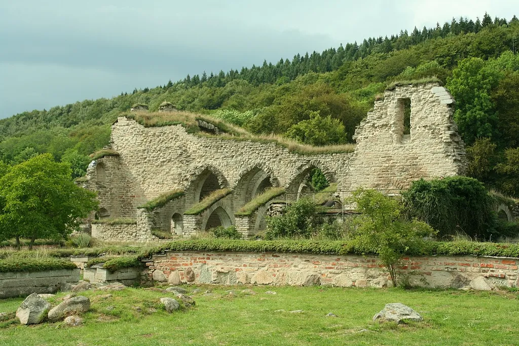 Alvastra ruins Sweden. Photographed by Niels Bosboom in August 2006.
