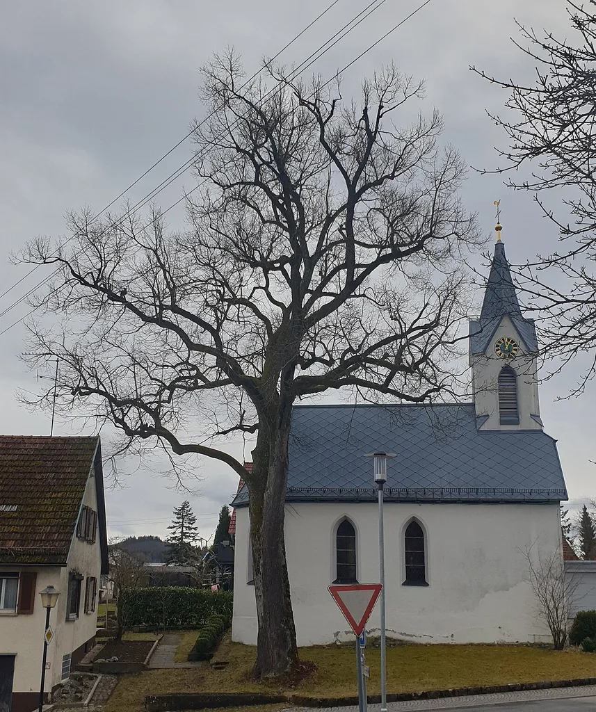 Evangelische Kirche in Sirchingen und Naturdenkmal Linde, Sirchingen