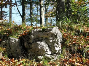 Ruine Schellenburg