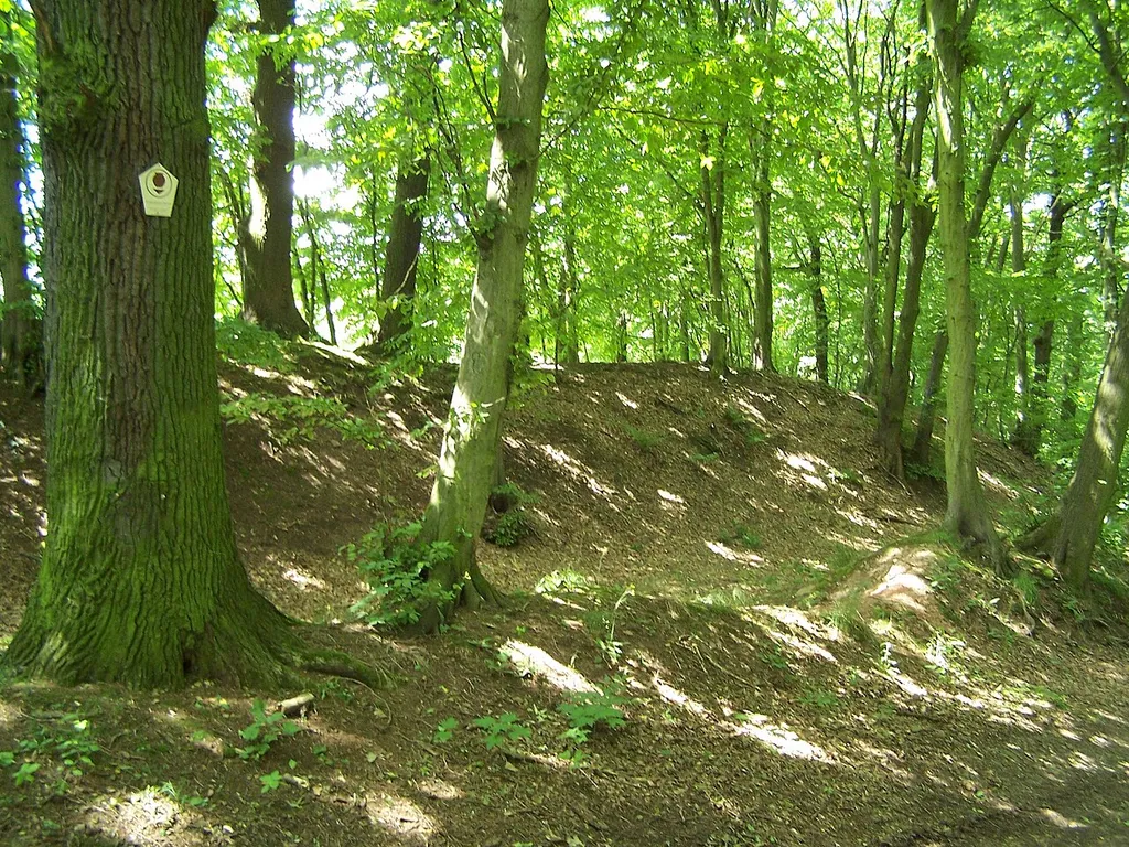 Das Bodendenkmal Schlösschen bei Unterrohn - Wallrest auf der Nordwestseite - mit Bodendenkmalschild.