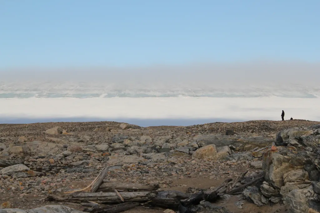 Kvitøya