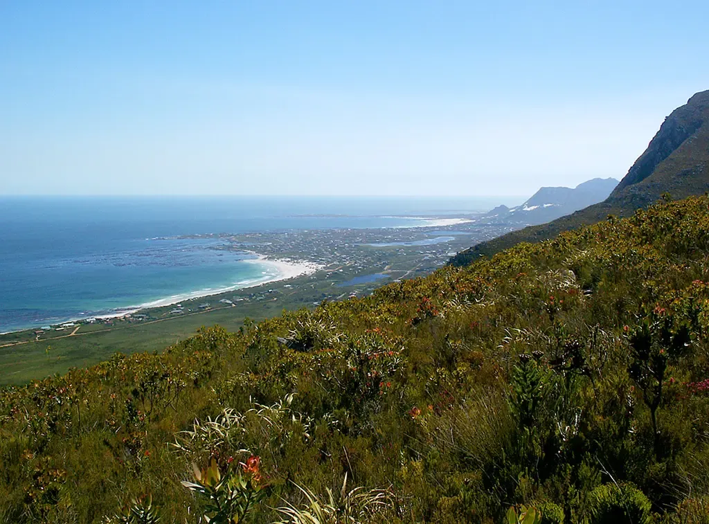 Betty's Bay