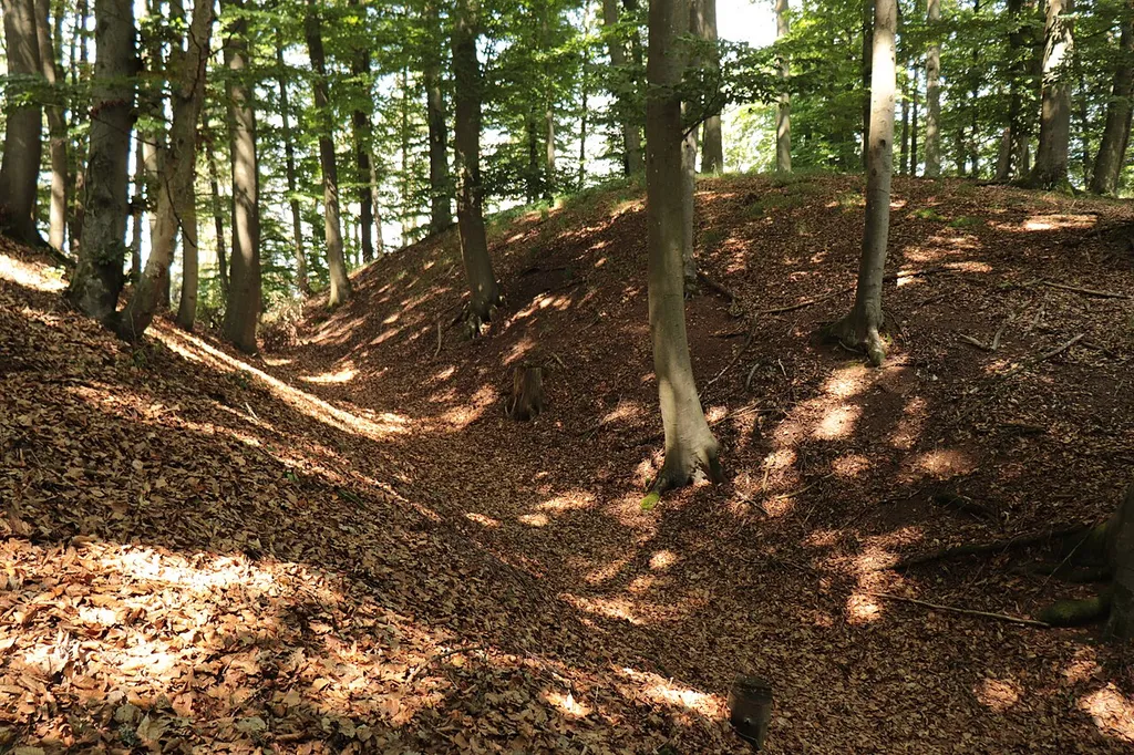 Der westliche Graben des Burgstalls Weißenkirchberg