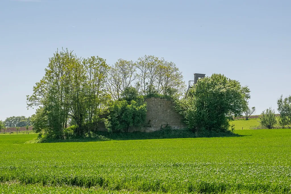 Mittelalterliche Wohnturmruine im Asseler Feld bei Warburg-Ossendorf.