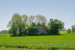 Asselerburg