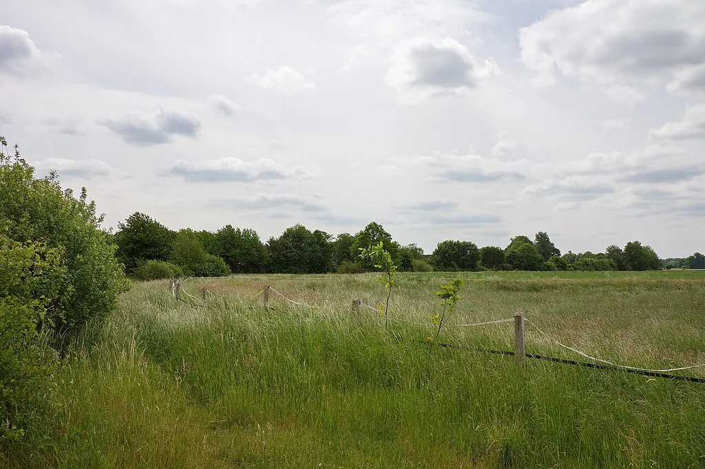 Aue im LSG Burgdorfer Holz vor Obershagen (Uetze), Niedersachsen, Deutschland