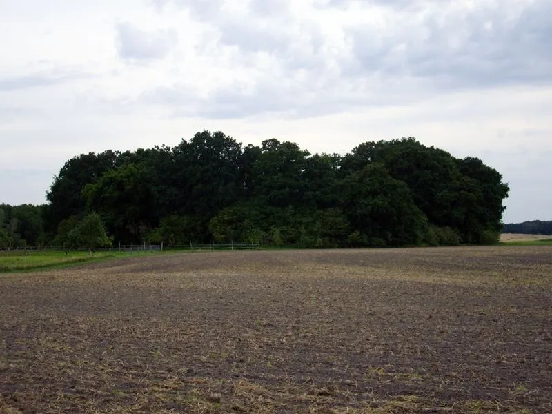 Burgwall Neu Kentzlin