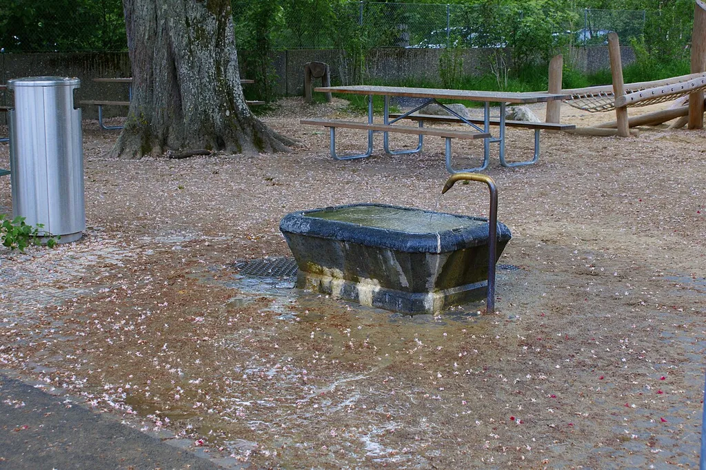 fountain playground Dählhölzli