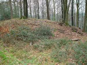 Ringwallanlage Burggraben