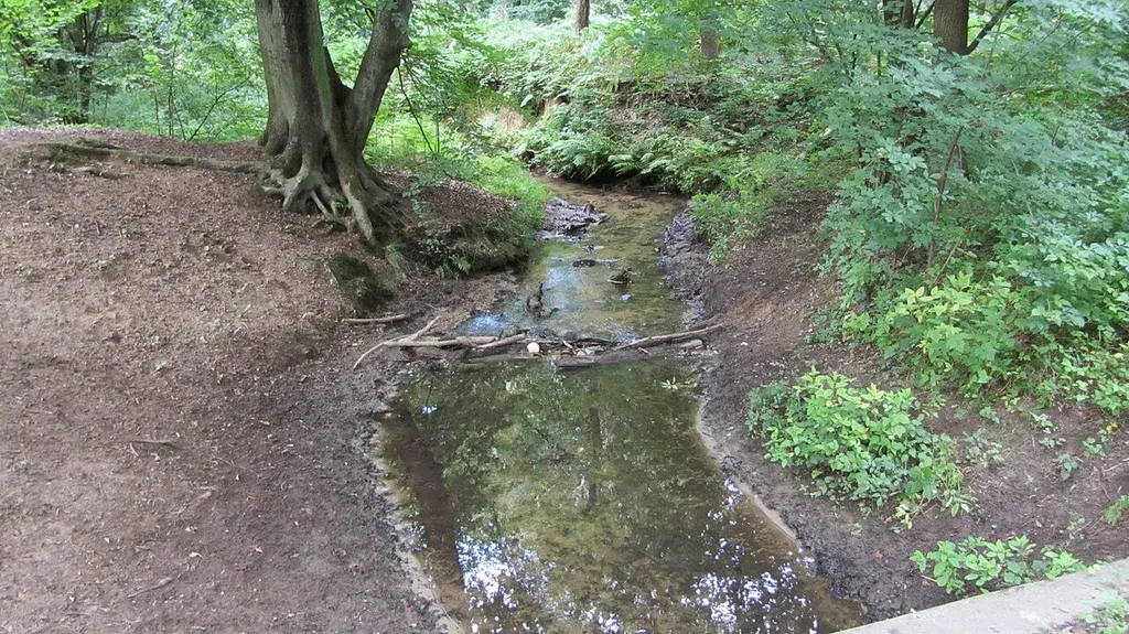 Naturschutzgebiet "Die Burg" Marl, Kreis Recklinghausen, Nordrhein-Westfalen, Deutschland