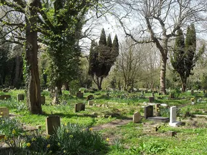 Church Wood and Robsack Wood