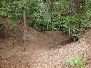 Burgwartsberg