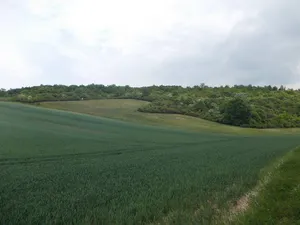 Unstrut-Triasland (Burgenlandkreis)