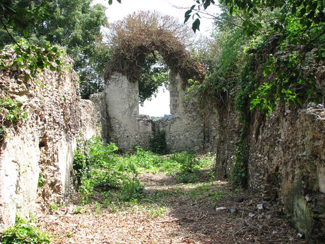 The ruined church of St Martin - view east. In medieval time none of the four churches in the parish - all within one kilometre of each other - were under local control. St Martin's church belonged to the Abbot of St Benet's, who had received it around the year 1050 by Edward the Confessor. In 1524 St Benet's exchanged the revenues of the parish for other revenues with the See Of Norwich and following the dissolution of the monasteries by Henry VIII the church fell into ruin. Because of Henry's displeasure with the Abbot of St Benet's he ordered the fourth church in the parish - St Botolph's - to be razed to the ground, sparing St Martin's church thanks to less animosity towards the Bishop of Norwich. The ruin is situated on a small overgrown island by the junction of narrow lanes, a stone's throw south of St Mary's church > 1372451 with its ivy-clad tower peeking over the surrounding trees.