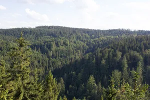 Franconian Forest Nature Park
