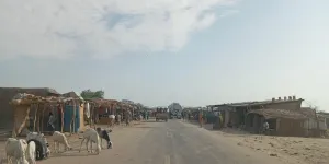 Kindjandi