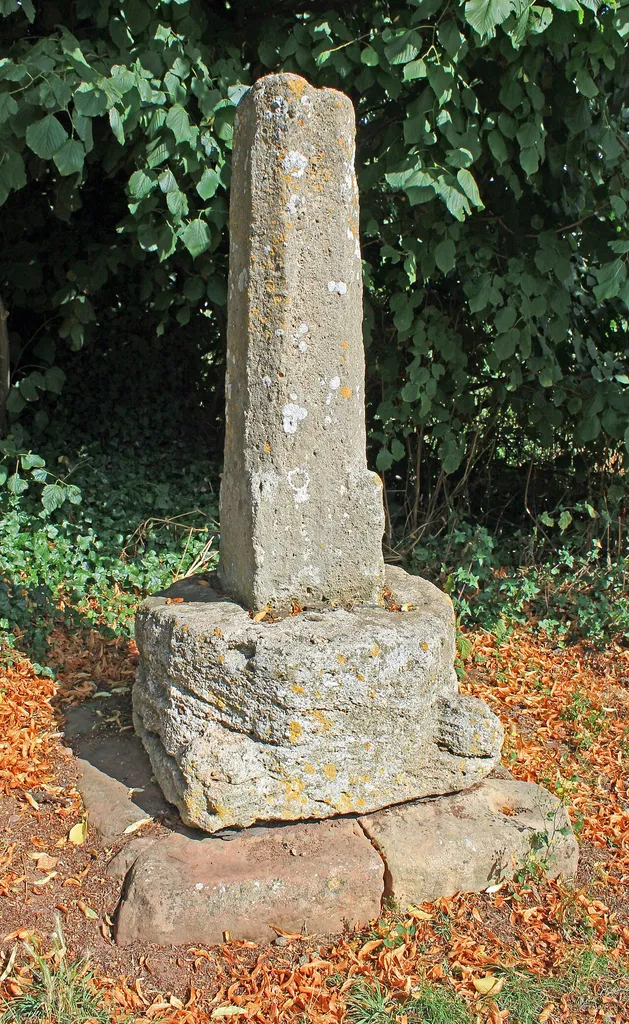 Remains Of Churchyard Cross, About 15 Metres North Of North Aisle Door, Church Of St Peter, Williton