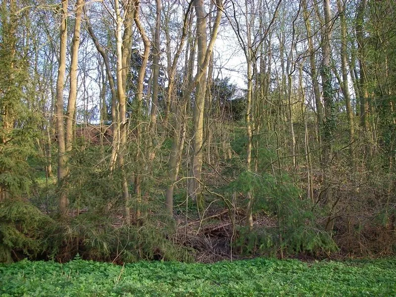 Schloßberg Naugarten am westlichen Ortseingang