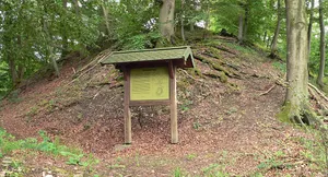 Burg Lauenburg