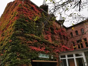 movie theater Badischer Hof