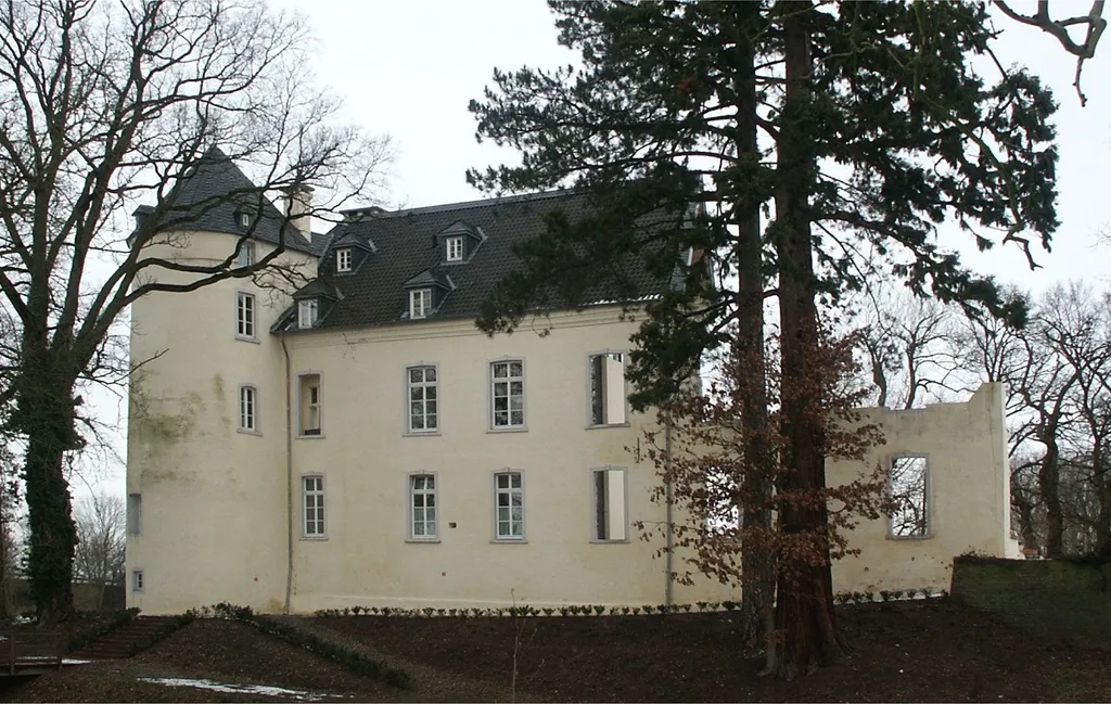 Kalkar-Appeldorn, Burg Boetzelaer with sequoia, Kalkar ND 06. The tree is neighboured to by a tall spruce and by a much smaller European oak