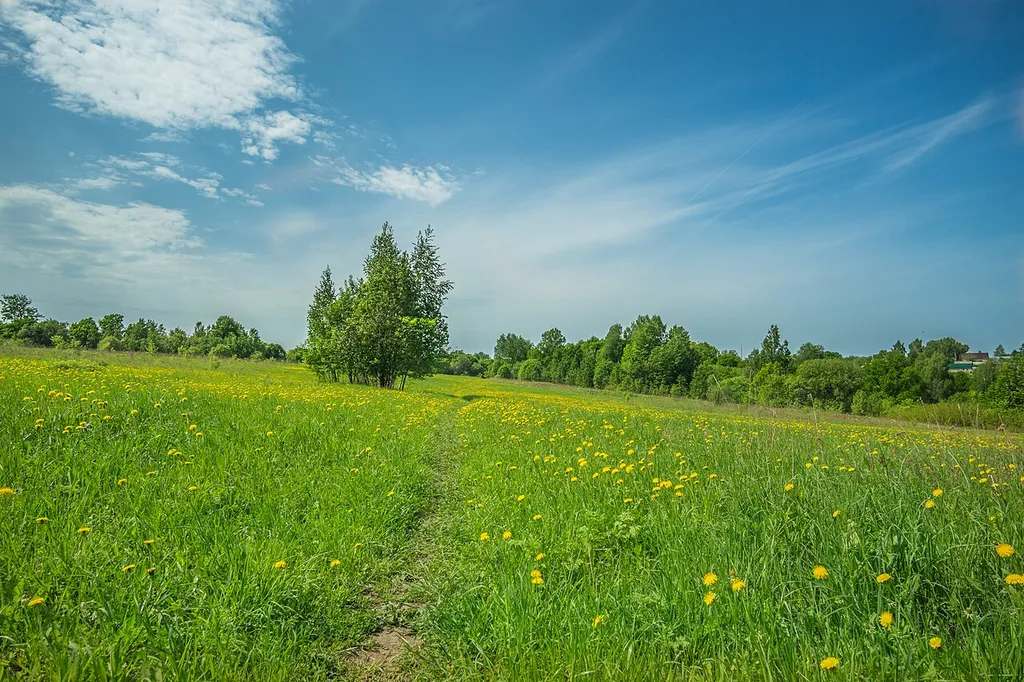 Park in Shapkino, Nizhny Novgorod Oblast