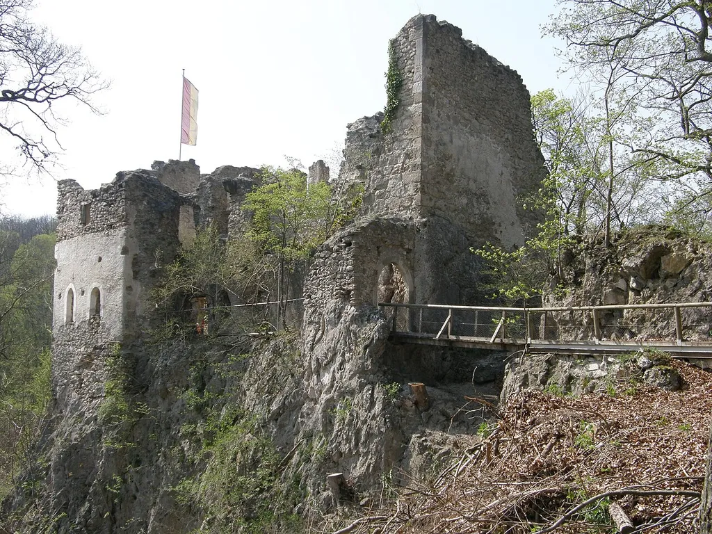 Johannstein castle ruins