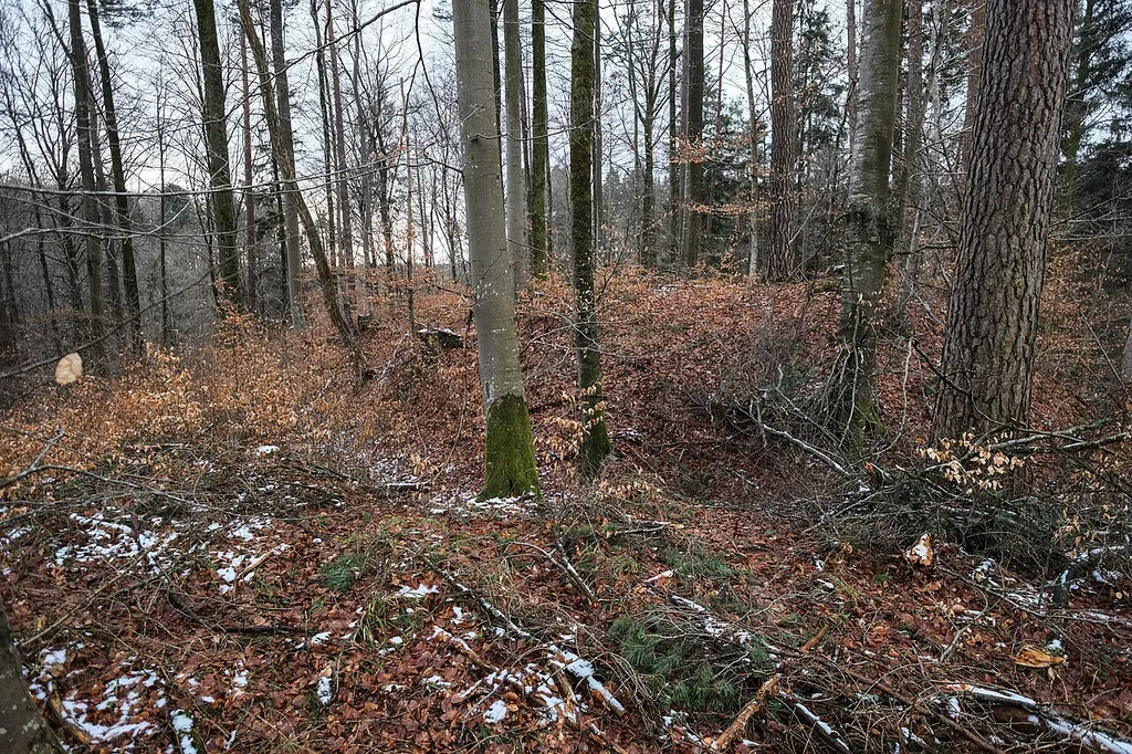 Remains of the lost castle Burg Bermatingen near Bermatingen, county Bodenseekreis, Baden Wurttemberg, Germany