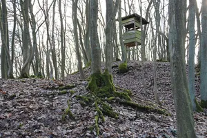 Burg Seelbach