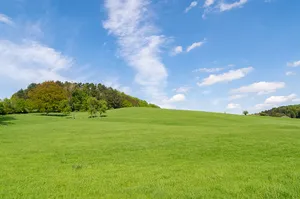 Naturschutzgebiet Hinnenburger Forst mit Emder Bachtal