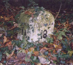 Milestone Approximately C.800 Metres North Of Church Bridge, Staindrop