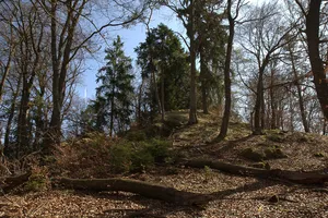 Burgstall Löweneck