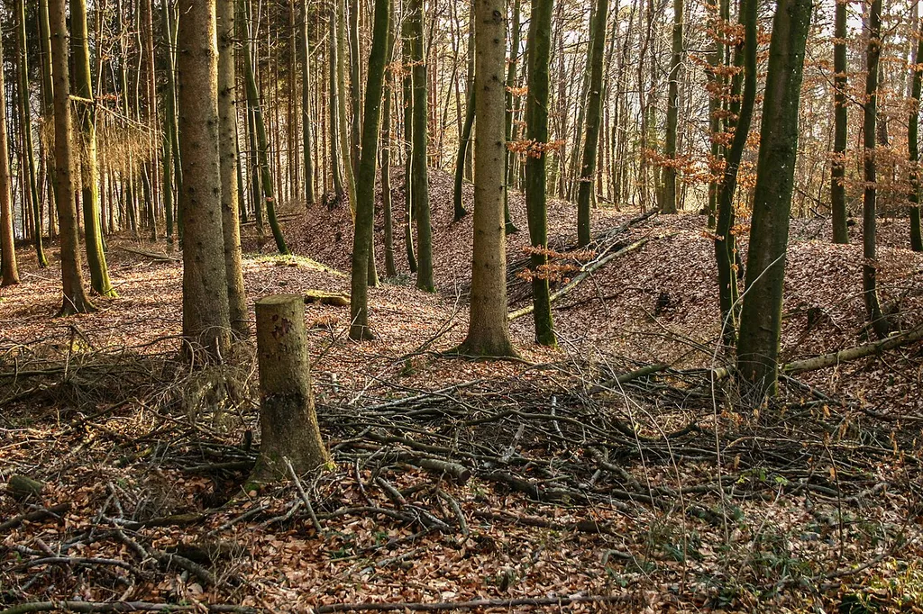 Earthworks Drackenstein, near Tettnang-Laimnau, county Bodenseekreis, Germany