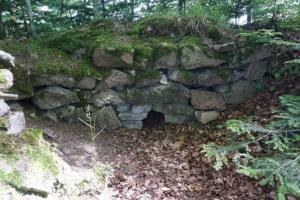 Mauerrest der Burgruine Burgholz in Raitbach (Schopfheim) Object location47° 40′ 39.4″ N, 7° 52′ 31.1″ E View this and other nearby images on: OpenStreetMap 47.677611; 7.875306