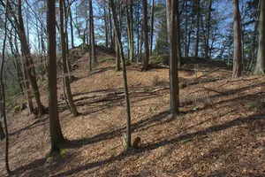 Burgstall Vestenberg