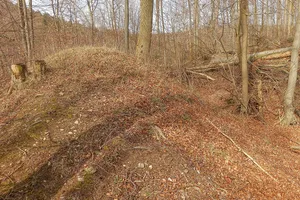 Poppenburg