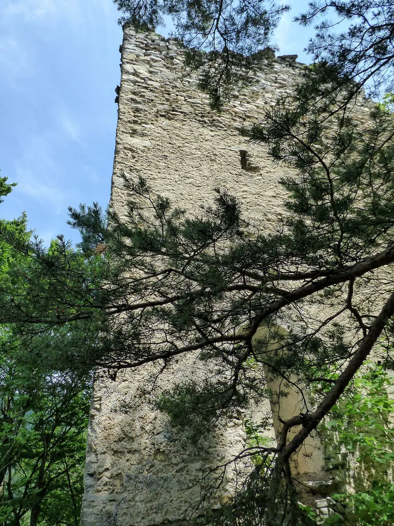 This media shows the protected monument with ObjektID 35145 in Austria. (Commons, de, Wikidata) Burgruine Obertrixen