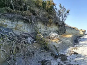 Rosenfelder Beach
