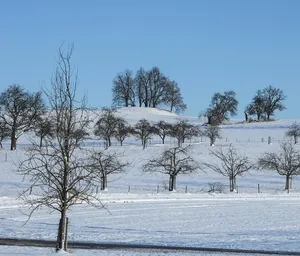 Burgstall Margarethenberg