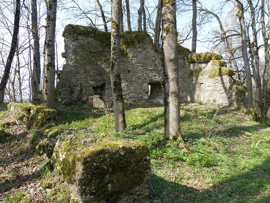 Ruins of castle Rothenstein, Landkreis Unterallgäu, Bavaria