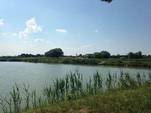 Klosterwald mit Lobersweihern und dem Grünzug westlich des Ortsteiles Neuses