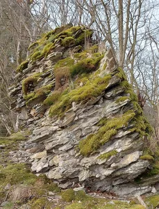 Burg Neu-Langenau