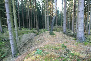 Wallburg auf dem Bollberg
