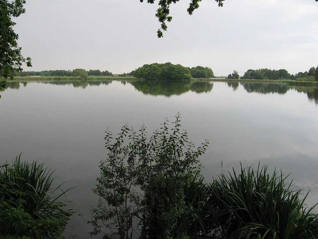 Dippelsdorfer Teich, Dippelsdorf im Ortsteil Friedewald, Gemeinde Moritzburg, Sachsen