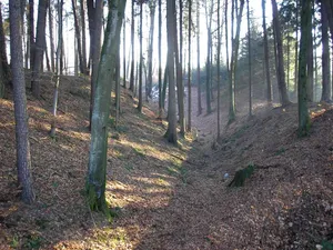 Burgstall Burgadelzhausen