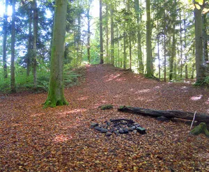 Heidenburg, Bronze Age, Iron Age and Roman hilltop settlement / rampart complex